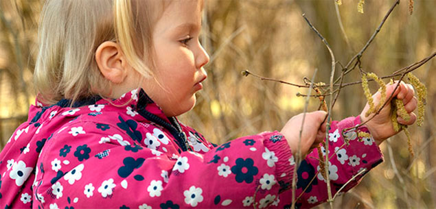 nursery-aged girl picking catkins