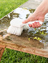 scrubbing outdoor bench