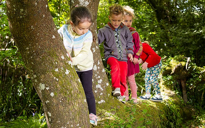 Children climbing on a tree