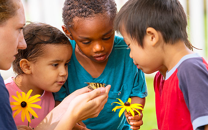 Children outdoors holding yellow flowers and examining a butterfly on the teacher's hand.