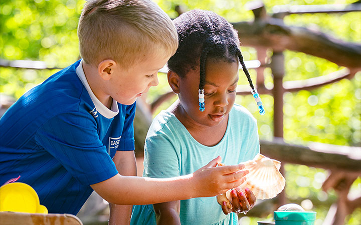 Two children playing with a large seashell together in a sunny, wooded outdoor setting.