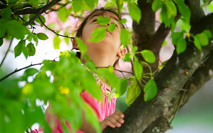 A young girl climbing a tree surrounded by green leaves, looking up through the branches.