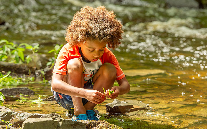 A young child crouched by a shallow stream, examining plants and water in a peaceful nature setting.