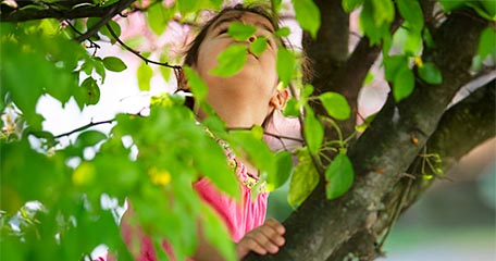 A nursery-aged girl climbing among tree branches, immersed in nature.