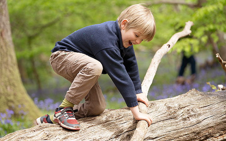 A pre-school boy wearing a navy blue cardigan holding onto the branch of a fallen tree and climbing over the top of the log.