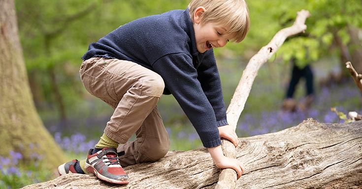 Reception age boy wearing a navy blue sweater and climbing over a fallen log in a forest