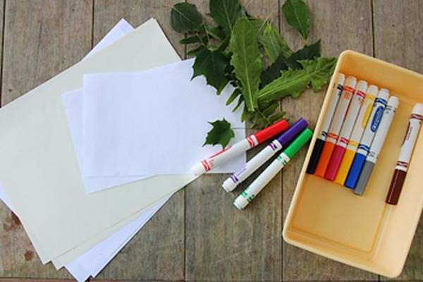 paper, leaves, felt pens on table