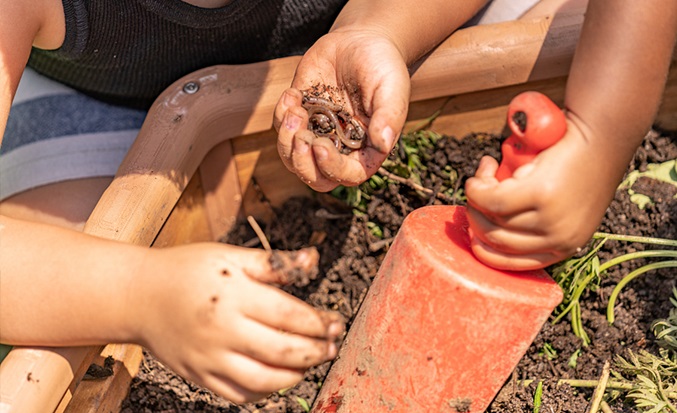 children digging in soil