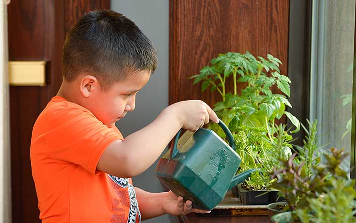 Boy watering a plant