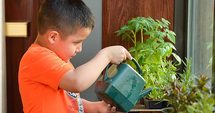 Boy watering