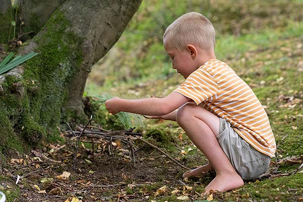 boy laying fern on twig frame
