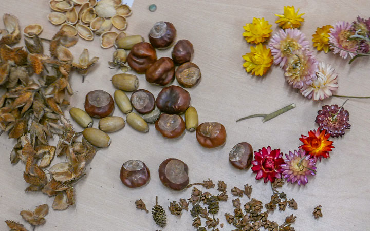 Selection of natural loose parts - conkers, beech nuts, straw flowers, seeds