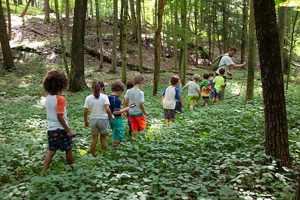 children going for a nature walk in the woods