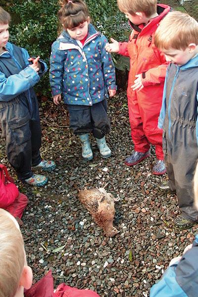 children looking at a pheasant