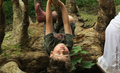 boy hanging upside down on tree branch