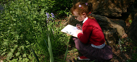 preschool aged girl with a scribblepad sitting by a tree trunk