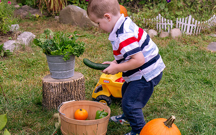 A young boy wearing a striped shirt and dark pants picks up a fresh cucumber from a small garden. A basket filled with pumpkins and vegetables is nearby, along with a toy truck and potted plants.