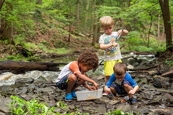 three boys playing in a stream