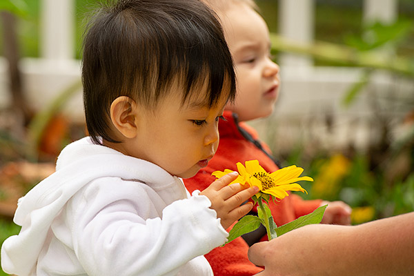 child with flower