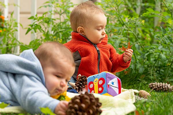 Babies with pinecones