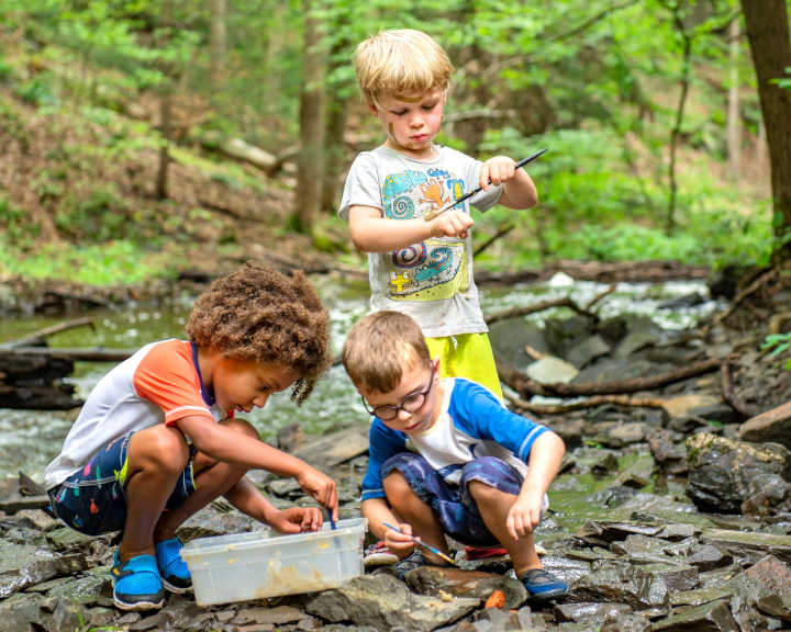 Three children playing in a stream