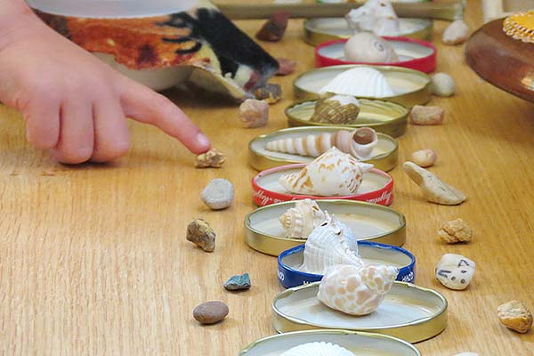 shells and pebbles for sorting