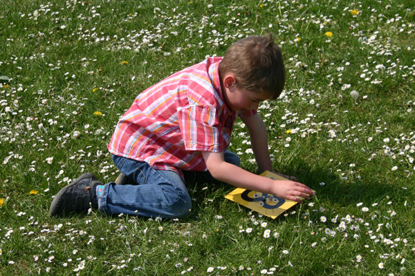 boy picking daisies maths