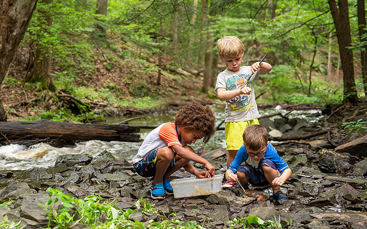 Three boys engaged in parallel play in a streambed