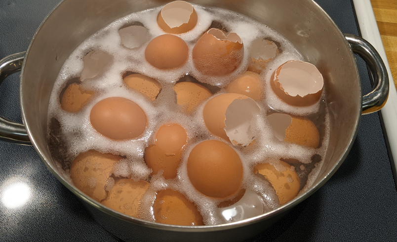 Empty eggshells getting washed in soapy water