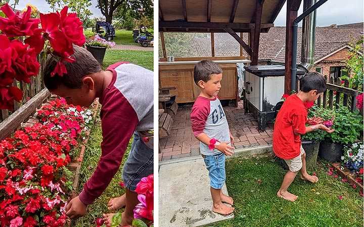 two boys collecting petals