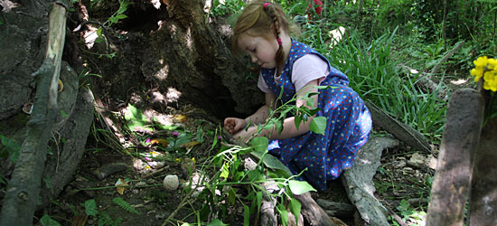 Young child playing at the root of a big tree