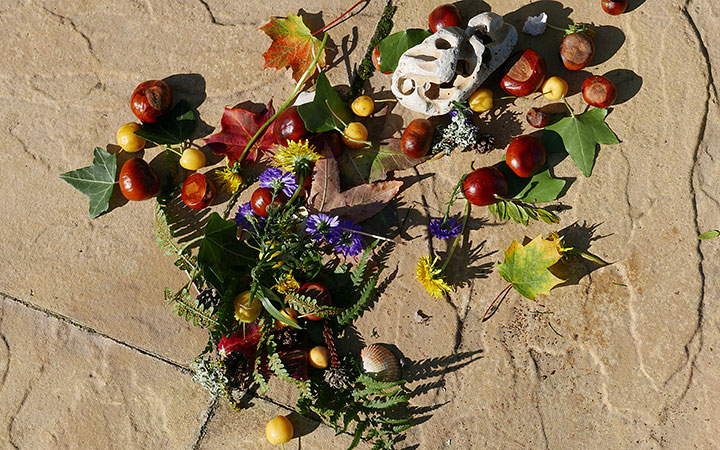 conkers, leaves, crab-apples, flowers scattered on ground