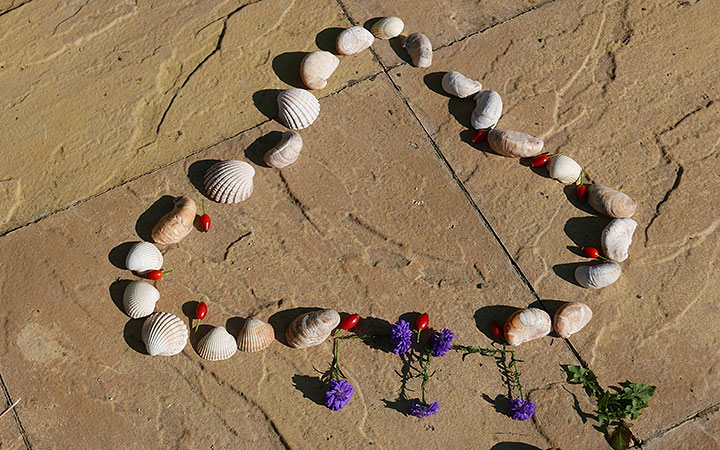 Seashells, rosehips and asters arranged in a wiggly shape