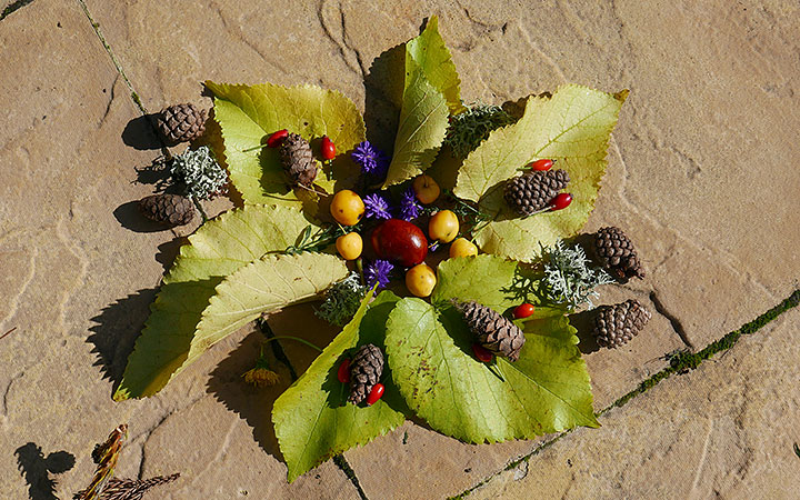 Nature pattern with mulberry leaves, pinecones, crabapples, asters, lichen 