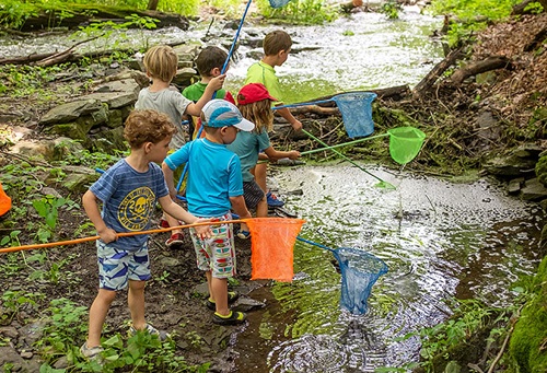 Children with fishing nets at stream