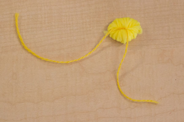 proto-pompom tied together with yarn