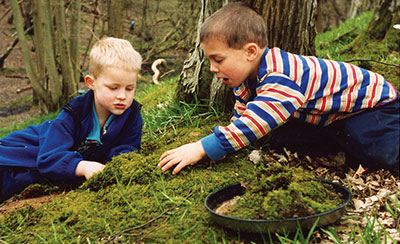 children examining moss