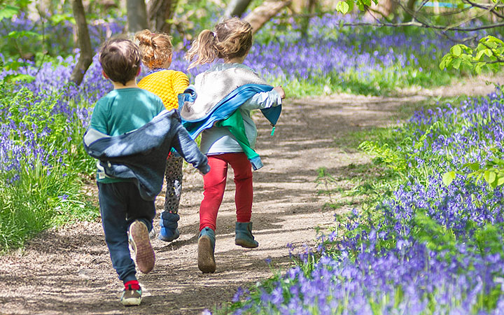 Children running down a bluebell-lined forest trail, wearing colorful clothes and enjoying nature.