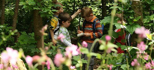a group of children in a forest