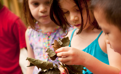 several children looking at a bunch of dry leaves