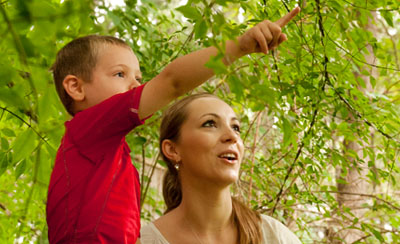 child and teacher observing something in a tree