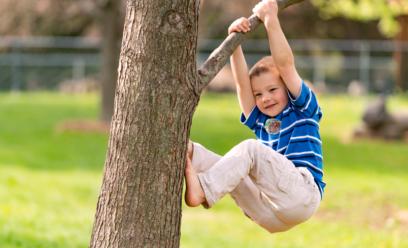 boy climbing tree