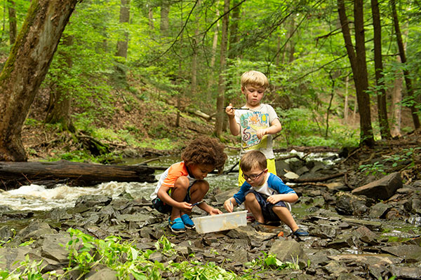 three young children playing next to a stream
