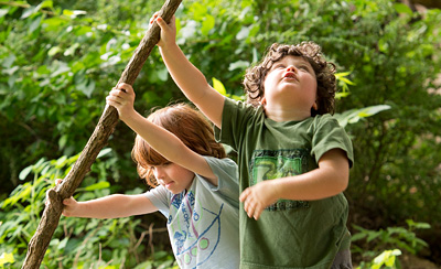 Children playing in the woods