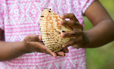 child’s hands holding a sea shell