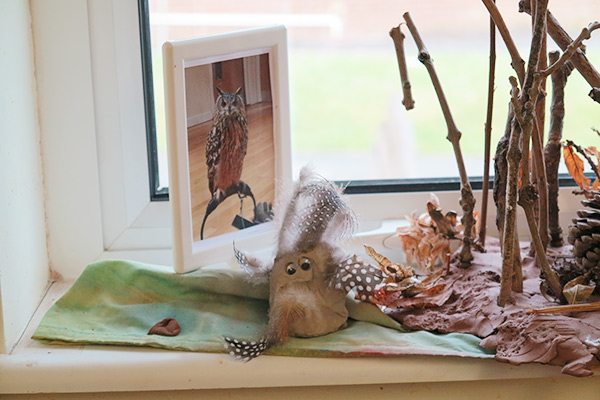 curiosity table with nature items