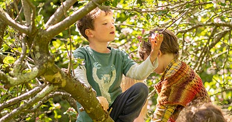 two boys climbing a tree