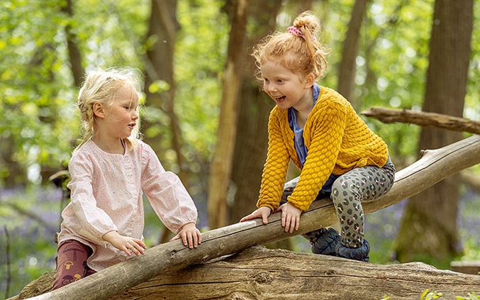 two girls on branch over log