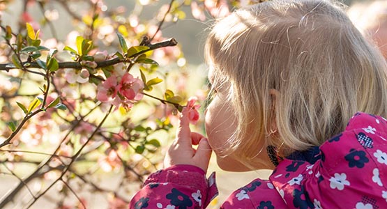 A girl smelling a flower.