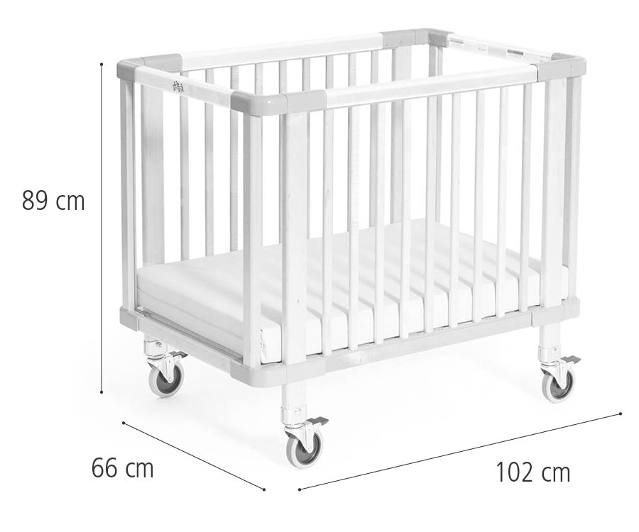 Evacuation cot dimensions